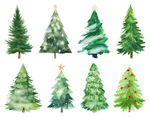 Fototapeta premium PNG Watercolor Christmas tree illustrations, element set on transparent background