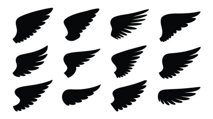 Set of twelve black wing silhouettes vector illustration of angel wings isolated on white background for logo or tattoo design