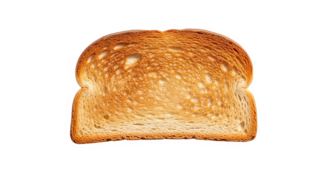 Single slice of toasted bread—golden brown, crisp, with small air pockets and darker edges, ideal for culinary, breakfast, or food styling reference