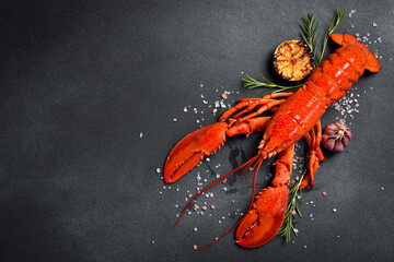 Delicious boiled lobster with ice cubes and lemon. On a stone background. Top view, free space for text. Fresh seafood.