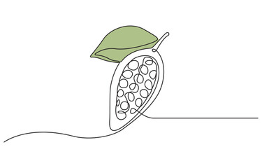 Continuous one line drawing of a cacao bean branch, with ripe pods and leaves isolated on transparent background.