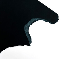 Black Torn Paper Edge Texture on White Background