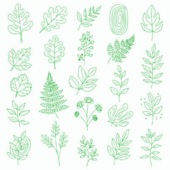Eco-Natural Line Art Clipart, Botanical & Nature Set