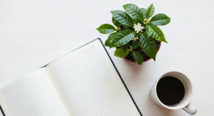 Minimalist workspace with open notebook, blooming potted plant, and cup of black coffee on white desk in natural morning light