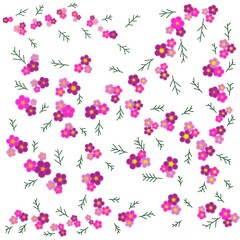 Pink Flower Pattern with Thin Botanical Sprigs on White Background