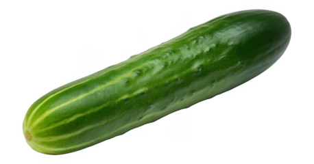 Single green cucumber with textured skin and light stripes isolated on a transparent background