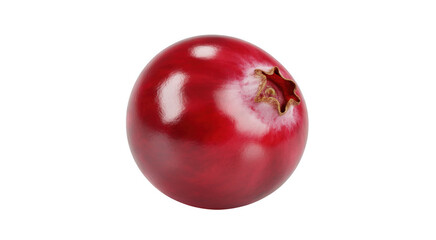 Obraz premium Single Ripe Red Cranberry with Stem Detail isolated on a transparent background