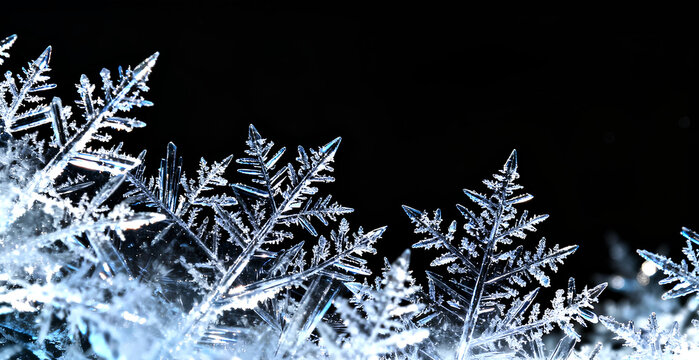 Winter frame/border snowflakes frosty patterns on a black background. Apply the Screen blend mode to remove black and leave only ice crystals. For Christmas/New Year cards, winter-themed designes - Powered by Adobe