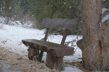 Rustic wooden bench in a snowy forest near a fir tree. Winter landscape with peaceful, natural atmosphere.