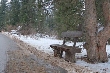 Rustic wooden bench in a snowy forest near a fir tree. Winter landscape with peaceful, natural atmosphere.