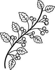 Fototapeta premium Delicate botanical branch with berries and leaves, simple floral outline illustration design