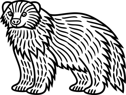 Shaggy wolverine illustration wild forest animal with thick fur, bold black line art drawing
