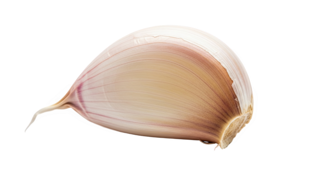 Single garlic clove with smooth curved surface and gradient tones from white to purplish brown—fresh, detailed, and ideal for culinary or botanical reference
