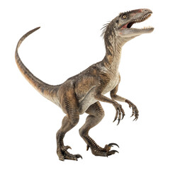 Fototapeta premium High Resolution Velociraptor Image for Science and Nature Projects