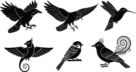 Bird silhouettes, black and white, stylized, flying, perched, crest, spiral tail, artistic, nature, wildlife, elegant,