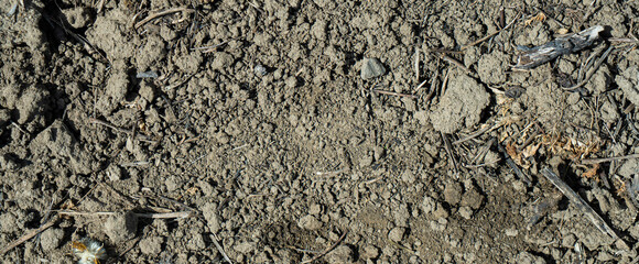 Close-up of a gray-black lava texture on the ground. Porous, cracked, and stony, perfect as a stock...