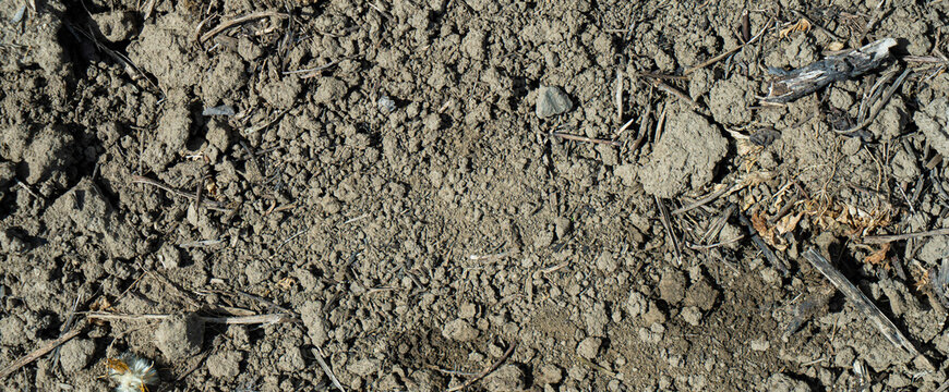 Close-up of a gray-black lava texture on the ground. Porous, cracked, and stony, perfect as a stock texture or photo background. Impression of molten rock.
