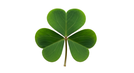 Single green shamrock leaf representing irish luck