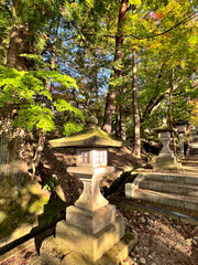 The beautiful view autumn foliage in Japan
