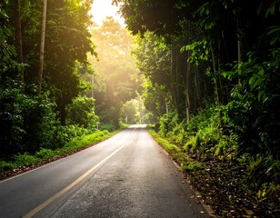 Obraz premium road in the forest