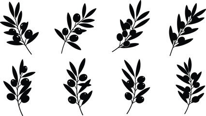 Olive branch silhouette vector set, black organic plant collection with leaves and fruit, mediterranean food symbol, nature design element.