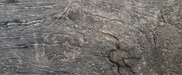 ligneous background, dark brown table surface. rustic wood texture.