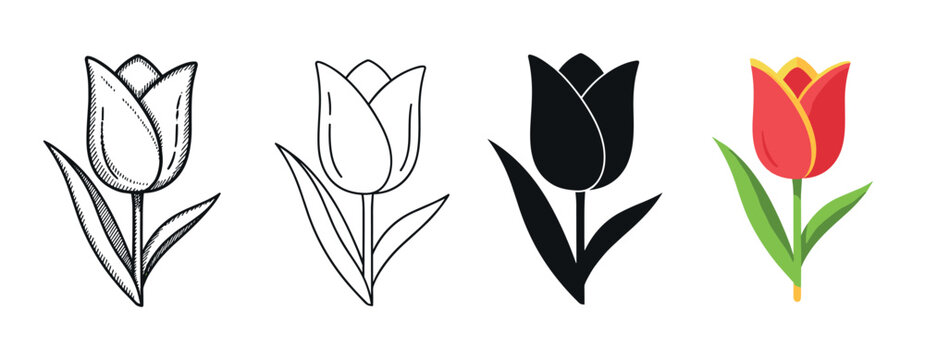 Collection of four tulip flower icons presented in multiple graphic styles such as an engraved sketch, simple outline, solid black silhouette, and a colorful flat design