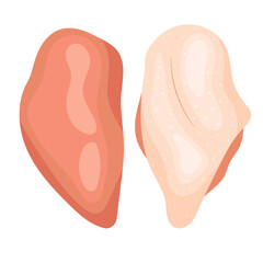 Vector illustration of a fresh raw boneless chicken breast © Kiky Alya