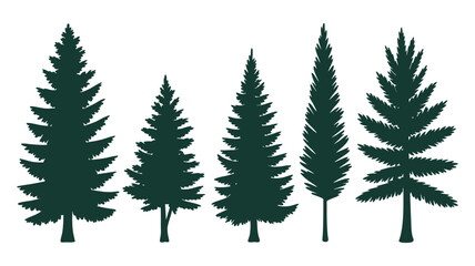 Obraz premium Evergreen tree vector collection