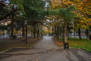 Autumn Avenue with Golden Leaves and Shining Garlands