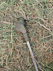 A lawn mower ready to operate on the ground.