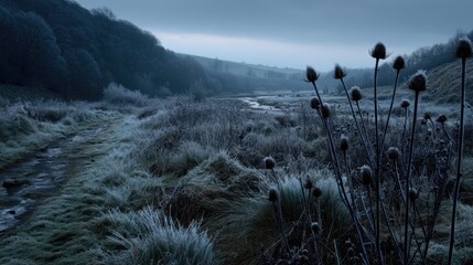 Frosty Landscape of a River Valley with Dried Plants and Foggy Hills in the Distance