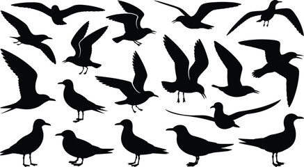 Silhouettes of 18 seagulls in flight and standing poses, black vector illustration, cad drawing flat vector illustration