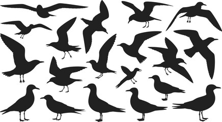 Silhouettes of birds in flight and standing poses, diverse species, black vector illustration, cad drawing flat vector illustration