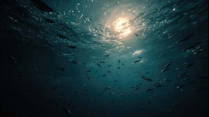 Underwater Scene with School of Fish and Sunlight Streaming Through Ocean Surface