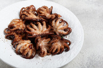 Baby octopus grilled on a white plate, homemade, no people,
