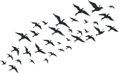 Bird Flock Silhouette Vector – Group of Flying Birds Shape for Nature & Migration Design