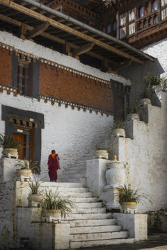 View of a lone figure clad in vibrant maroon ascends the weathered white steps of a traditional Bhutanese building, adorned with potted plants, Trongsa, Bhutan.