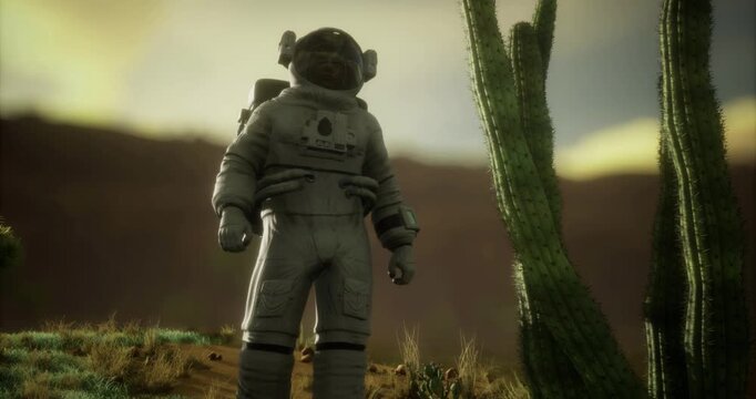 An astronaut stands amidst strange cacti on an alien terrain while a dramatic sky casts unique shadows. The atmosphere conveys a sense of exploration and wonder in a distant world.