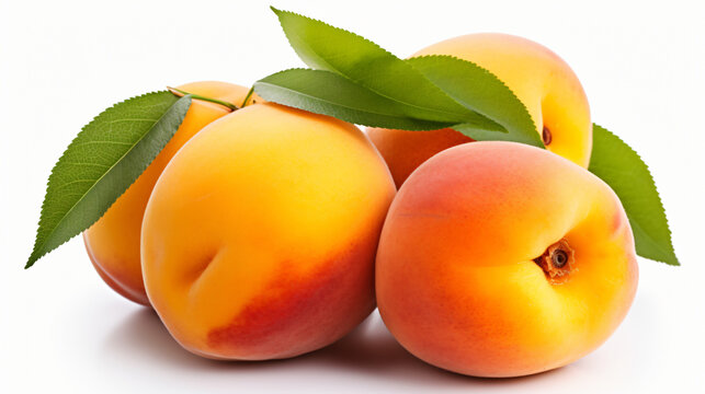 Ripe apricots with leaves, Fresh apricots with green leaf - Powered by Adobe