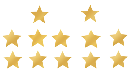 A versatile collection featuring tree-branch flower photo overlays, summer-themed elements, clean star vector icons, realistic empty A4 white paper sheets, detailed torn paper edges, and smooth cream 