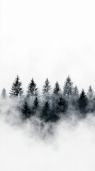 A dense forest of dark pine trees emerges from a thick layer of white fog, creating a mysterious and atmospheric scene.