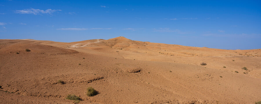 Expansive desert landscape under a clear blue sky with scattered shrubs and rolling dunes. Agafay Desert, Marrakesh-Safi, Morocco