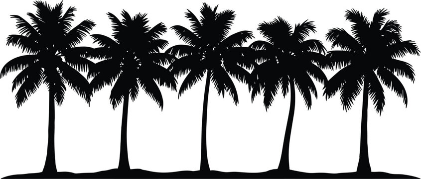 Silhouette of palm trees against a white background depicting tropical paradise