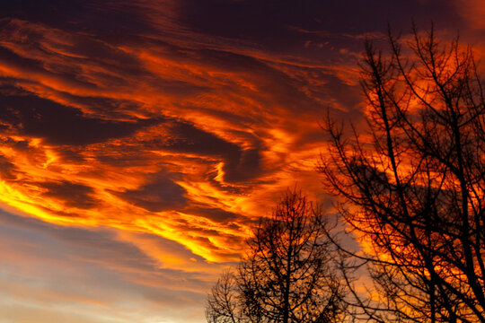 Fiery orange and red sunset sky with silhouette of trees in the foreground. Calgary, Canada