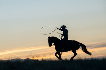 Silhouette of a cowboy on horseback lassoing at sunset over a grassy plain. Oregon, USA