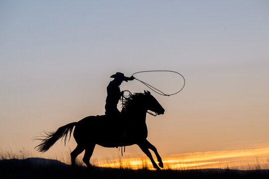 Silhouetted cowboy on horseback lassoing at sunset on an open field. Oregon, USA