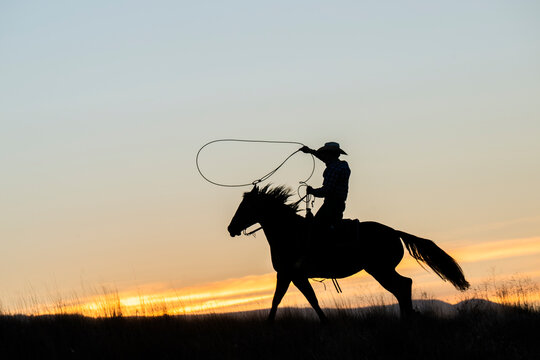 A silhouetted cowboy lassoes while riding a horse against a sunset sky. Oregon, USA