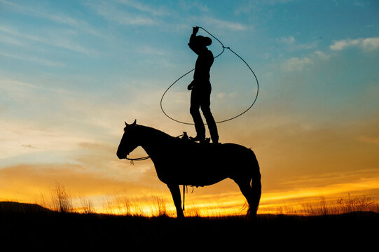 Silhouette of a cowboy on horseback lassoing at sunset with a vibrant sky. Oregon, USA