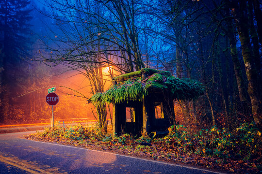 Moss-covered wooden hut in a forest at dusk, near a winding road with glowing streetlights. Bainbridge Island, WA, USA